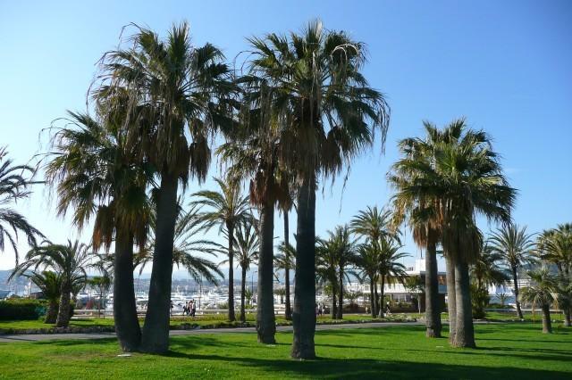 Résidence Panoramer Cannes